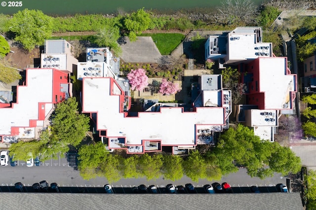 bird's eye view