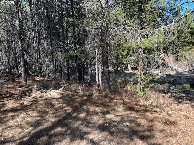 Monk Ln, Crescent Lake, OR 97733