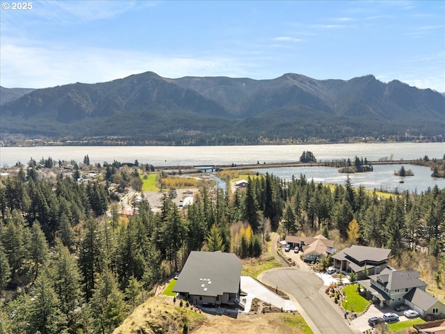 725 NW Angel Heights Rd, Stevenson, WA 98648 - property view of mountains with a water view