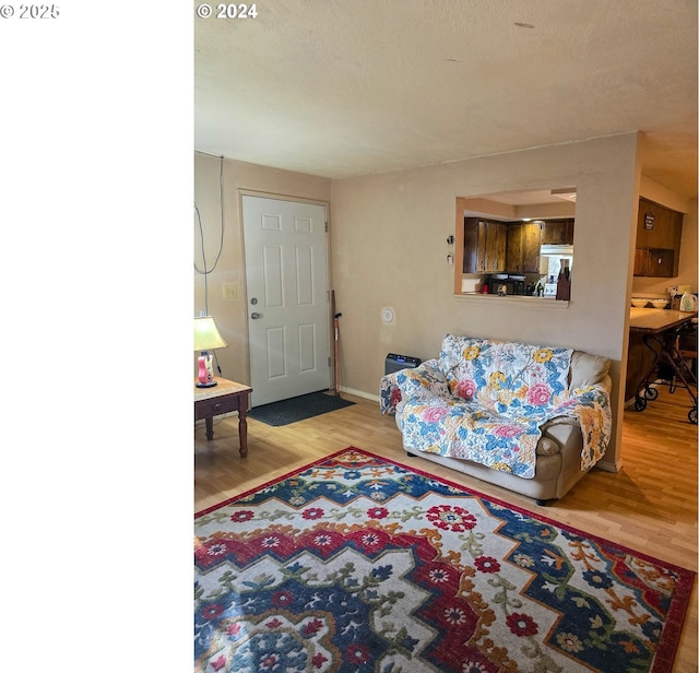 living room with hardwood / wood-style floors and a textured ceiling