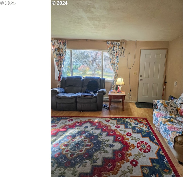 living room with light wood-type flooring