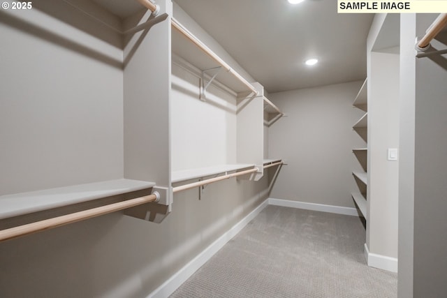 walk in closet featuring carpet
