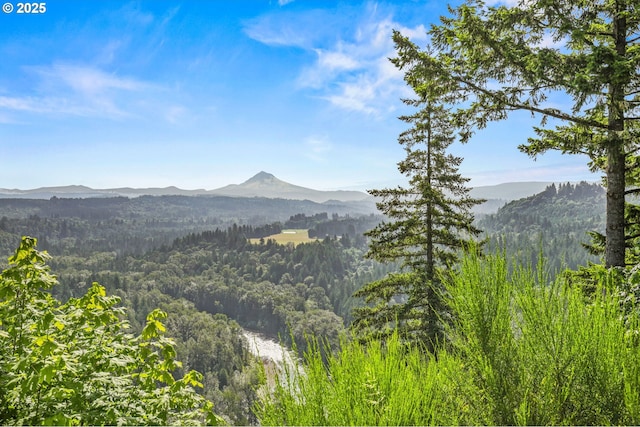 38565 Pleasant St, Sandy, OR 97055
