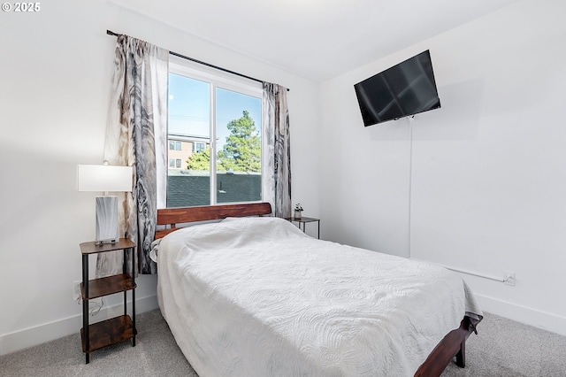 bedroom with carpet floors