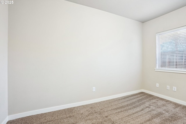 unfurnished room with carpet