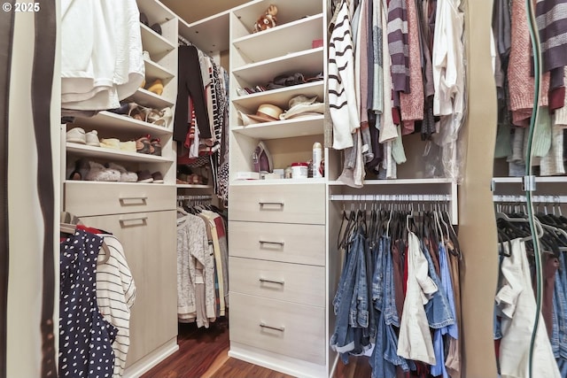 spacious closet featuring dark hardwood / wood-style floors