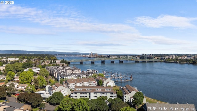 aerial view of a notable bridge and a nearby body of water