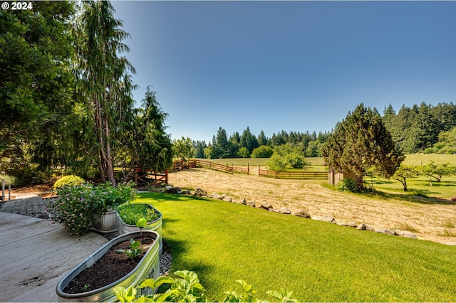 view of yard with a rural view