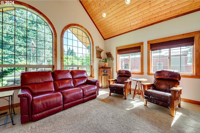 carpeted living room with high vaulted ceiling and wood ceiling