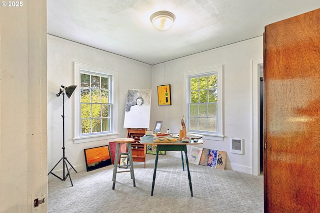 office space featuring heating unit, baseboards, and carpet flooring