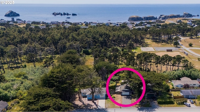 1260 Jackson Ave, Bandon, OR 97411 - aerial view of a nearby body of water