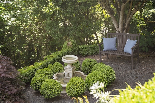 2892 NW Beuhla Vista Ter, Portland, OR 97210 - view of yard