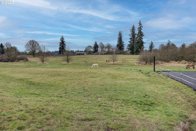 view of yard with a rural view