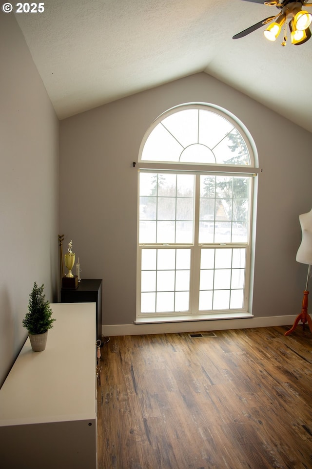 interior space with ceiling fan, lofted ceiling, dark hardwood / wood-style floors, and a textured ceiling