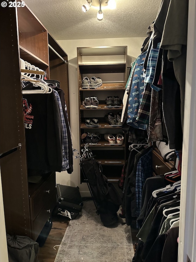 spacious closet with dark wood-type flooring