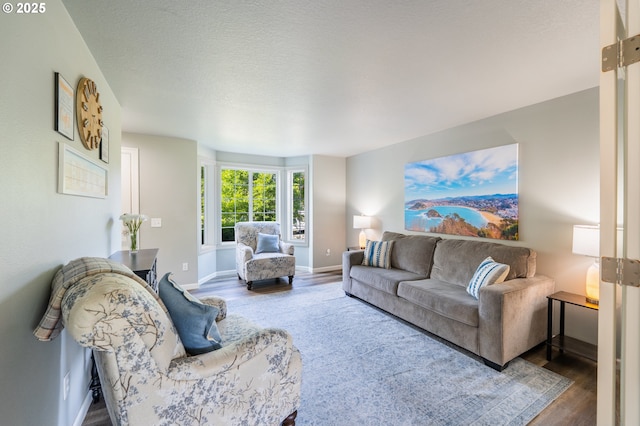 living area featuring baseboards and wood finished floors