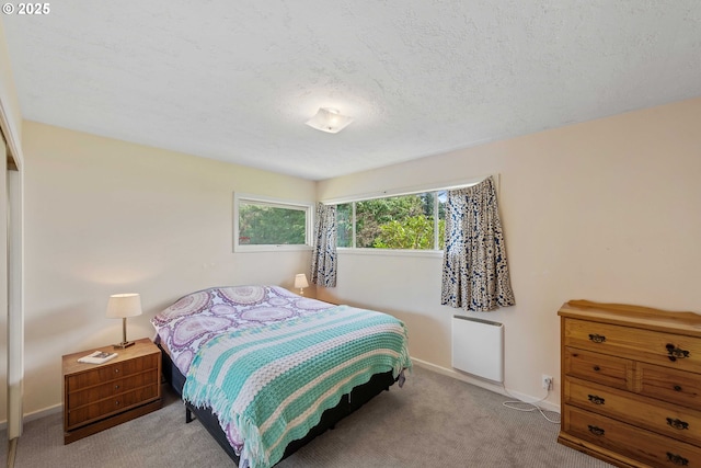 255 Coast Guard Hill Rd, Port Orford, OR 97465 - bedroom featuring baseboards, a textured ceiling, and carpet