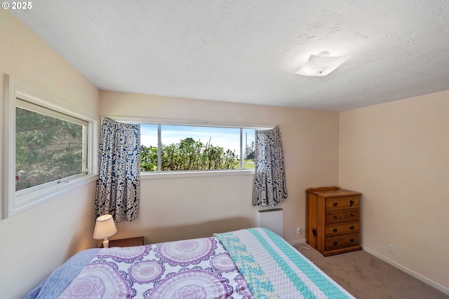 255 Coast Guard Hill Rd, Port Orford, OR 97465 - bedroom with baseboards, carpet flooring, and a textured ceiling