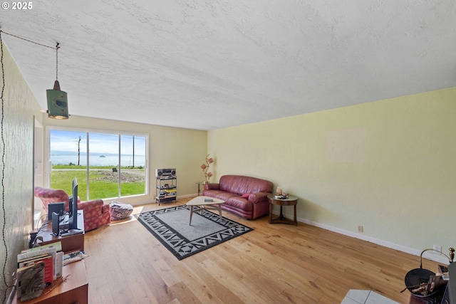 255 Coast Guard Hill Rd, Port Orford, OR 97465 - living area with hardwood / wood-style floors, a textured ceiling, and baseboards