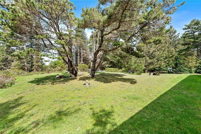 255 Coast Guard Hill Rd, Port Orford, OR 97465 - view of yard