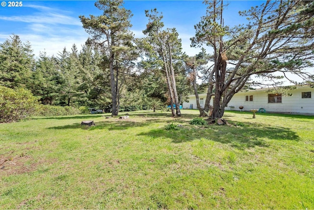 255 Coast Guard Hill Rd, Port Orford, OR 97465 - view of yard