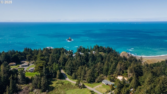 255 Coast Guard Hill Rd, Port Orford, OR 97465 - drone / aerial view featuring a water view