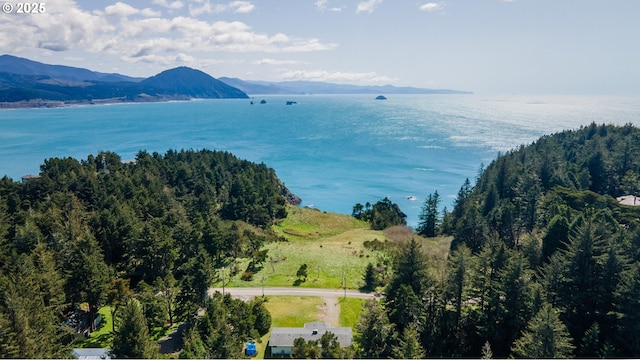 255 Coast Guard Hill Rd, Port Orford, OR 97465 - aerial view with a water and mountain view