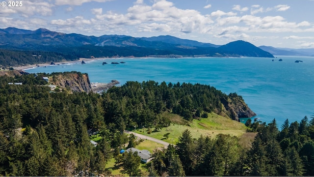 255 Coast Guard Hill Rd, Port Orford, OR 97465 - bird's eye view with a water and mountain view and a wooded view