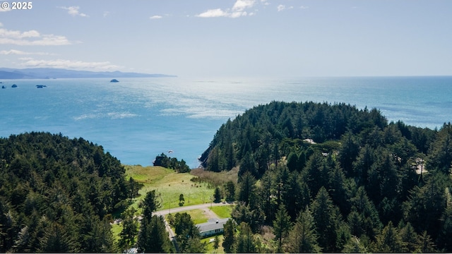 255 Coast Guard Hill Rd, Port Orford, OR 97465 - exterior space featuring a forest view and a water view