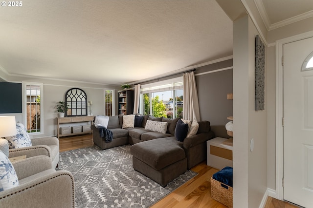 1025 S Grant St, Canby, OR 97013 - living area with wood finished floors and crown molding