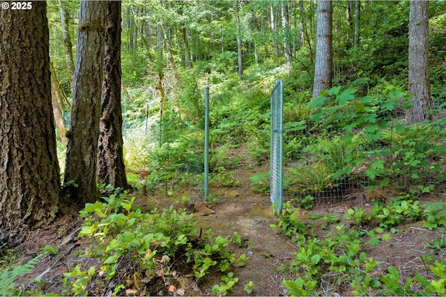 91625 W Fork Rd, Deadwood, OR 97430 - view of tree filled area
