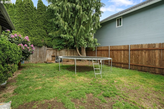 12705 NE 101st St, Vancouver, WA 98682 - view of yard featuring a trampoline