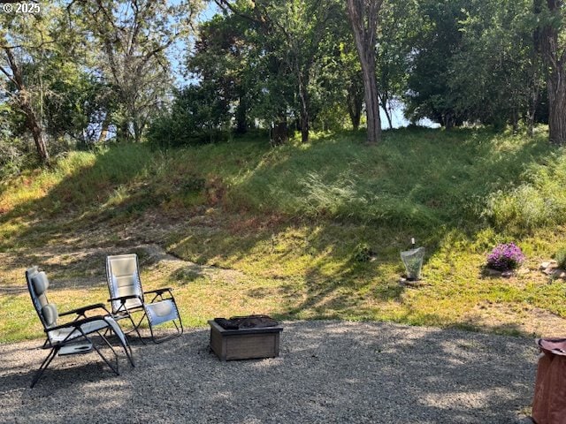 610 SE Maple St, Oakland, OR 97462 - view of yard