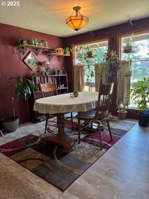 610 SE Maple St, Oakland, OR 97462 - dining area featuring plenty of natural light and a textured ceiling