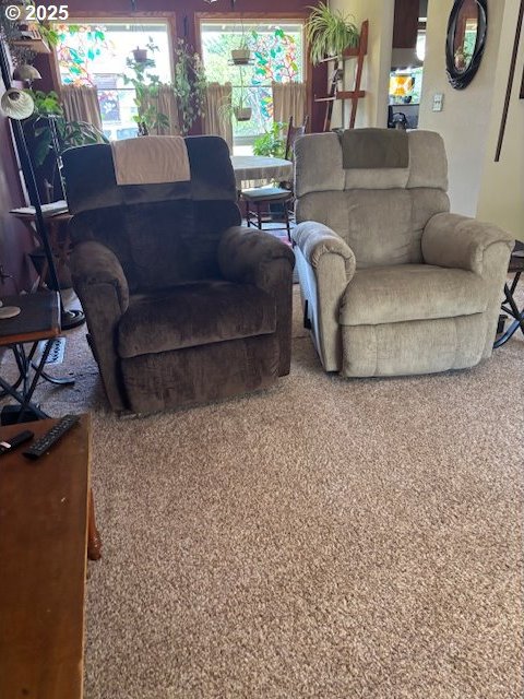610 SE Maple St, Oakland, OR 97462 - view of living room