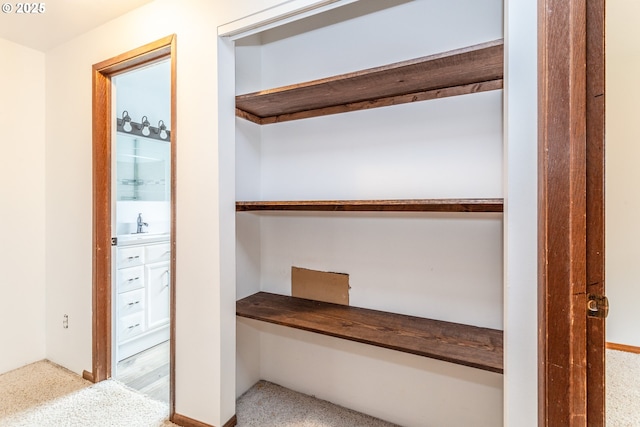 closet with a sink