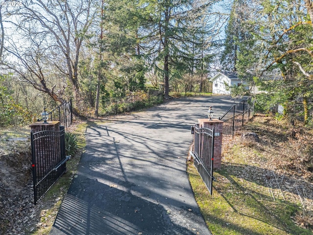 view of road with a gate, driveway, and a gated entry