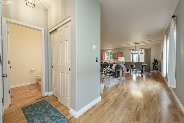 hallway featuring light wood-type flooring