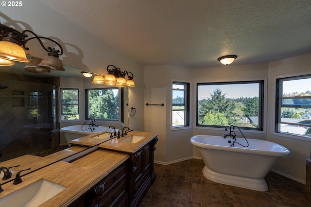full bathroom featuring a sink, stone finish floor, plenty of natural light, and a stall shower