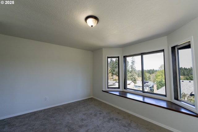 unfurnished room featuring carpet flooring, a textured ceiling, baseboards, and a wealth of natural light