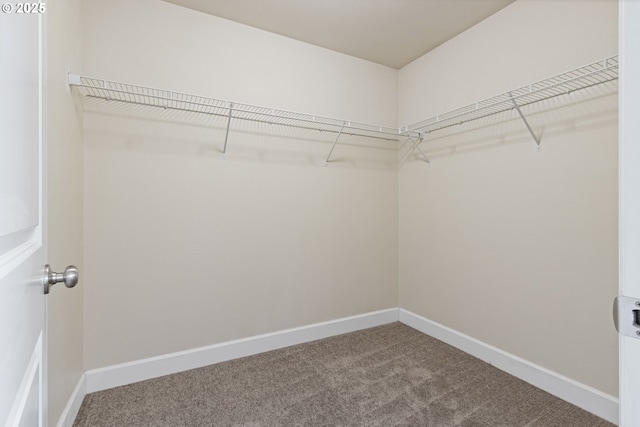 spacious closet with carpet