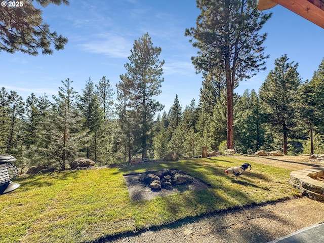 view of grassy yard