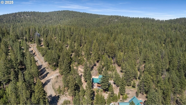 aerial view of property's location featuring a heavily wooded area and a mountain backdrop