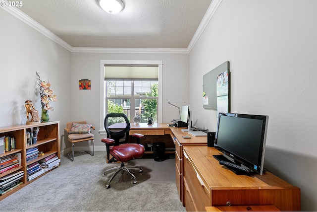 office with carpet floors and ornamental molding