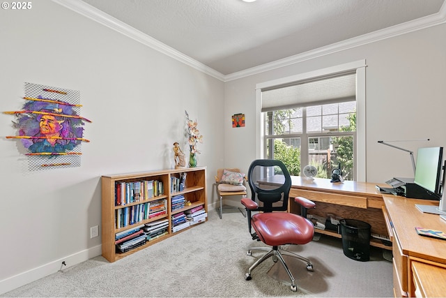 office with crown molding, carpet flooring, and baseboards