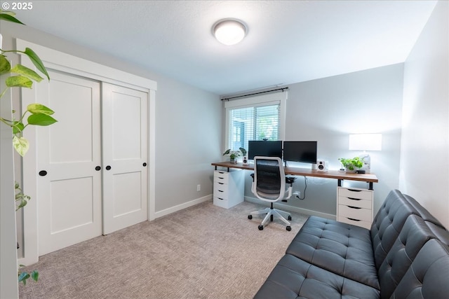 office area featuring carpet flooring and baseboards