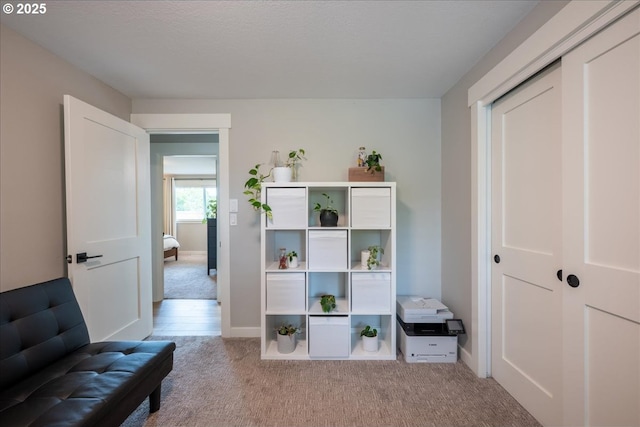 sitting room with carpet and baseboards