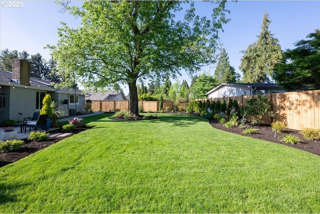 view of yard with a patio