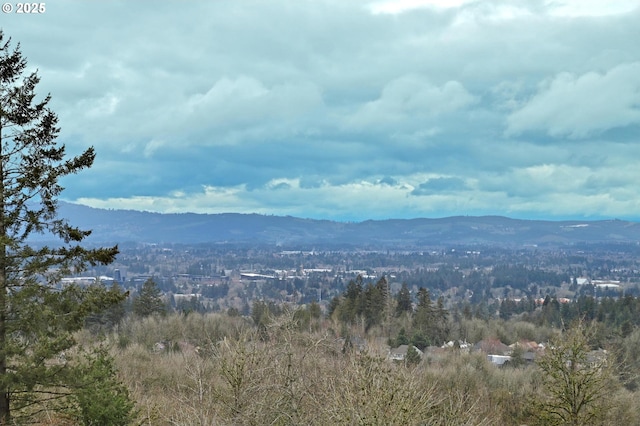 mountain view with a wooded view