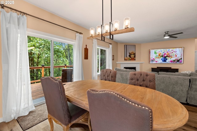 dining room featuring wood finished floors, a ceiling fan, and a tile fireplace
